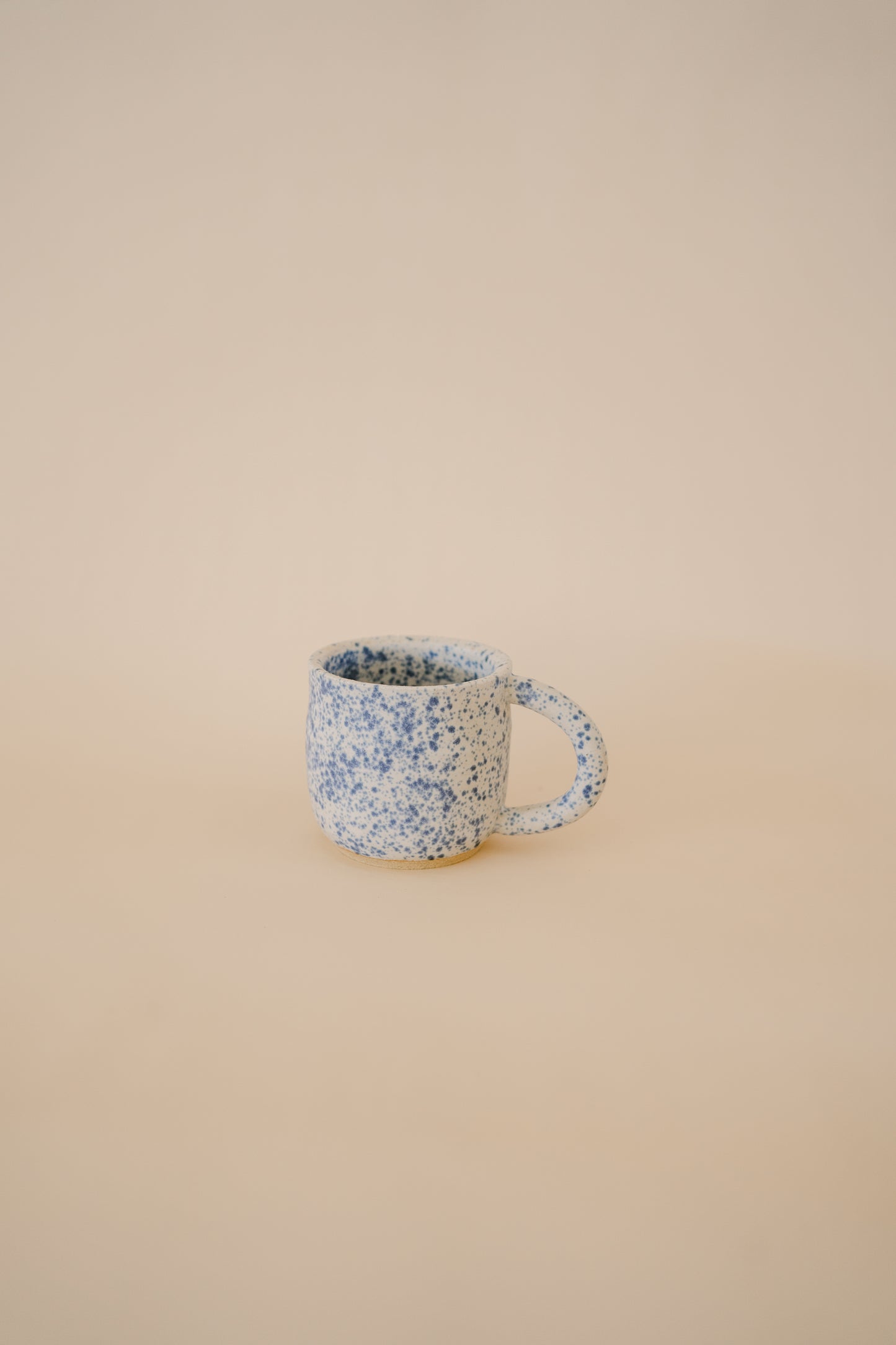 Speckled Mug