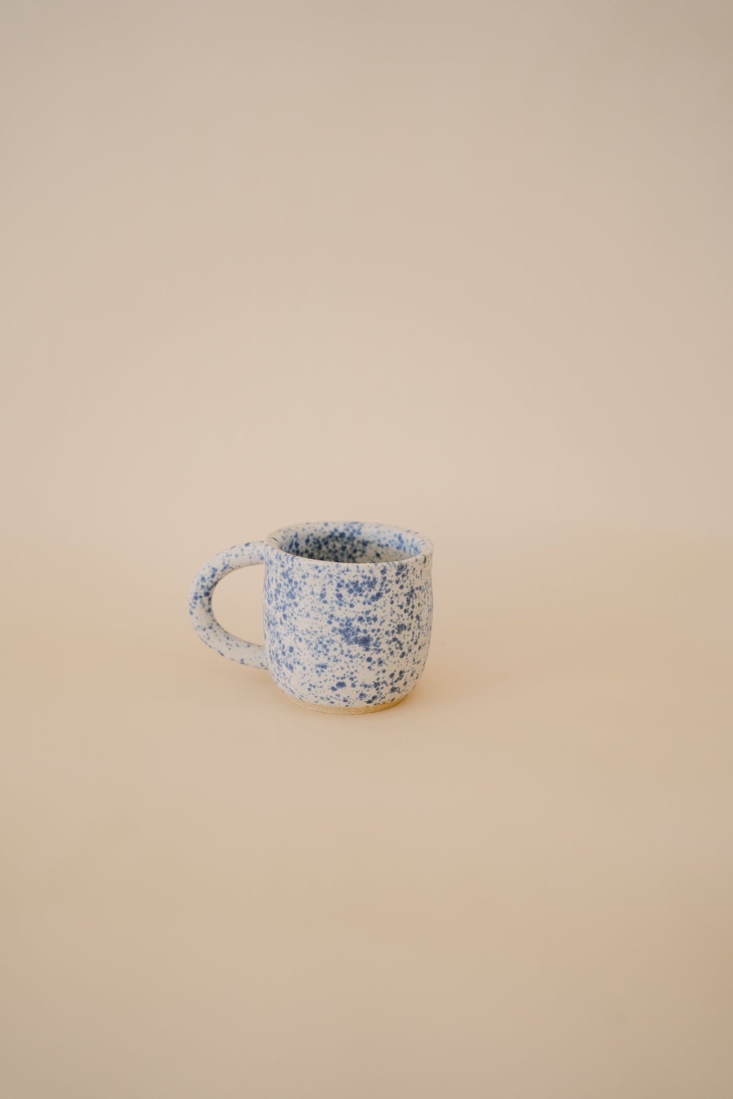 Speckled Mug